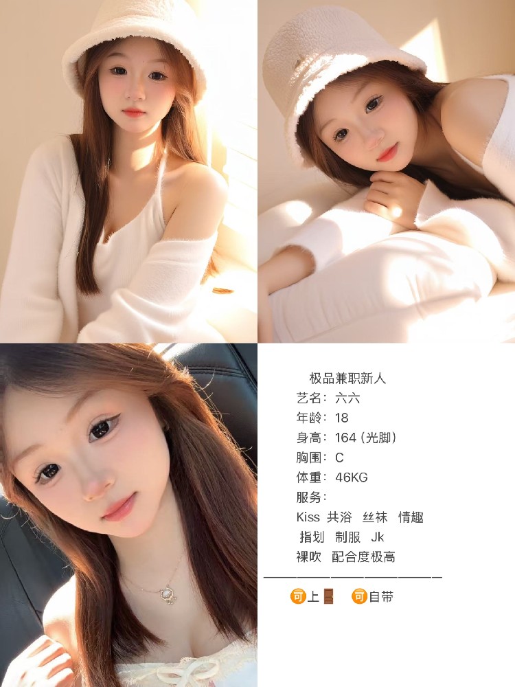 六六